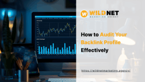 How to Audit Your Backlink Profile Effectively