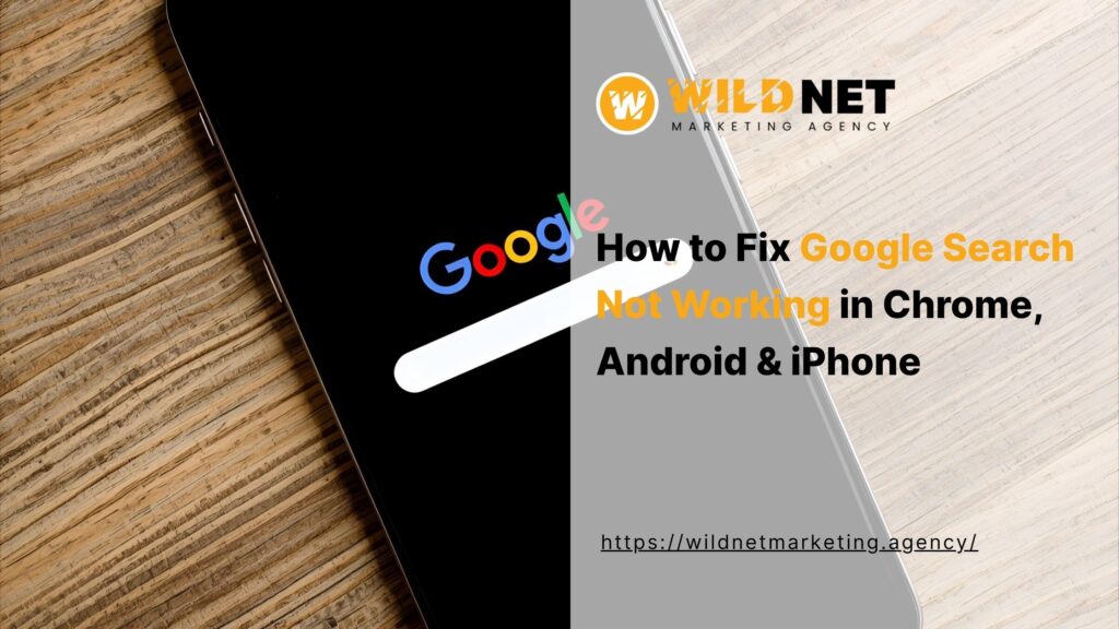 Google Search Not Working