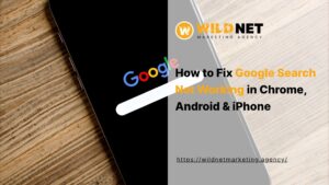 Google Search Not Working