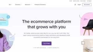 Fixing a Slow Checkout A WooCommerce Page Speed Optimization Strategy Fixing a Slow Checkout A WooCommerce Page Speed Optimization Strategy
