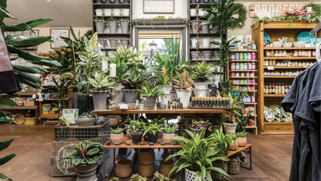 Creating a Linkable Asset A Guest Post & Content Strategy