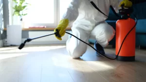 Dominating _Emergency_ Keywords_ A Bed Bug & Termite SEO Strategy Dominating _Emergency_ Keywords_ A Bed Bug & Termite SEO Strategy