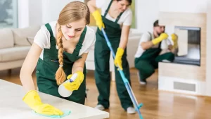 Filling the Schedule_ A Local SEO Strategy for House Cleaning Filling the Schedule_ A Local SEO Strategy for House Cleaning