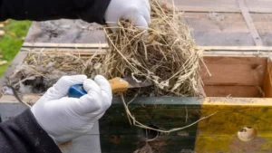 Seasonal Domination_ A Wildlife & Exclusion SEO Strategy Seasonal Domination_ A Wildlife & Exclusion SEO Strategy