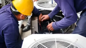 Seasonal Domination_ An Emergency & Seasonal SEO Strategy Seasonal Domination_ An Emergency & Seasonal SEO Strategy