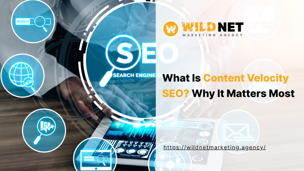 Content Velocity SEO banner