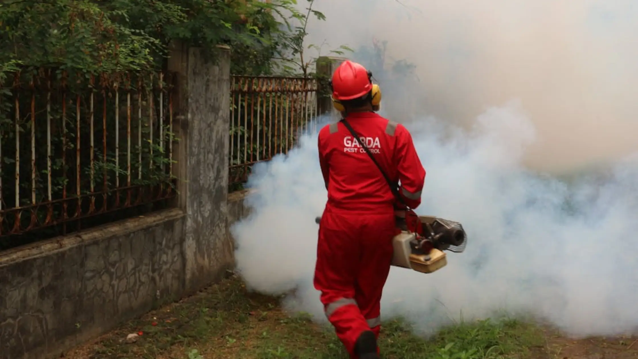 Winning High-Value Contracts_ A B2B Pest Control Strategy Winning High-Value Contracts_ A B2B Pest Control Strategy